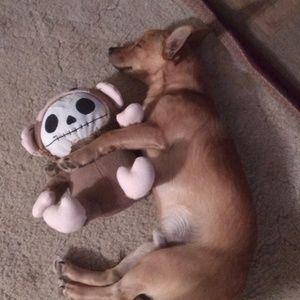 Meet your Posher, Brooklyn